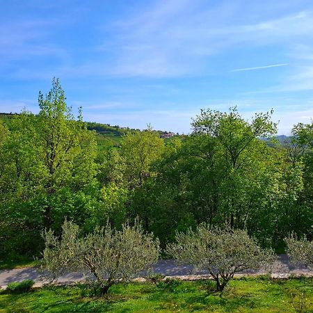 Apartma Lavanda Kojsko Εξωτερικό φωτογραφία