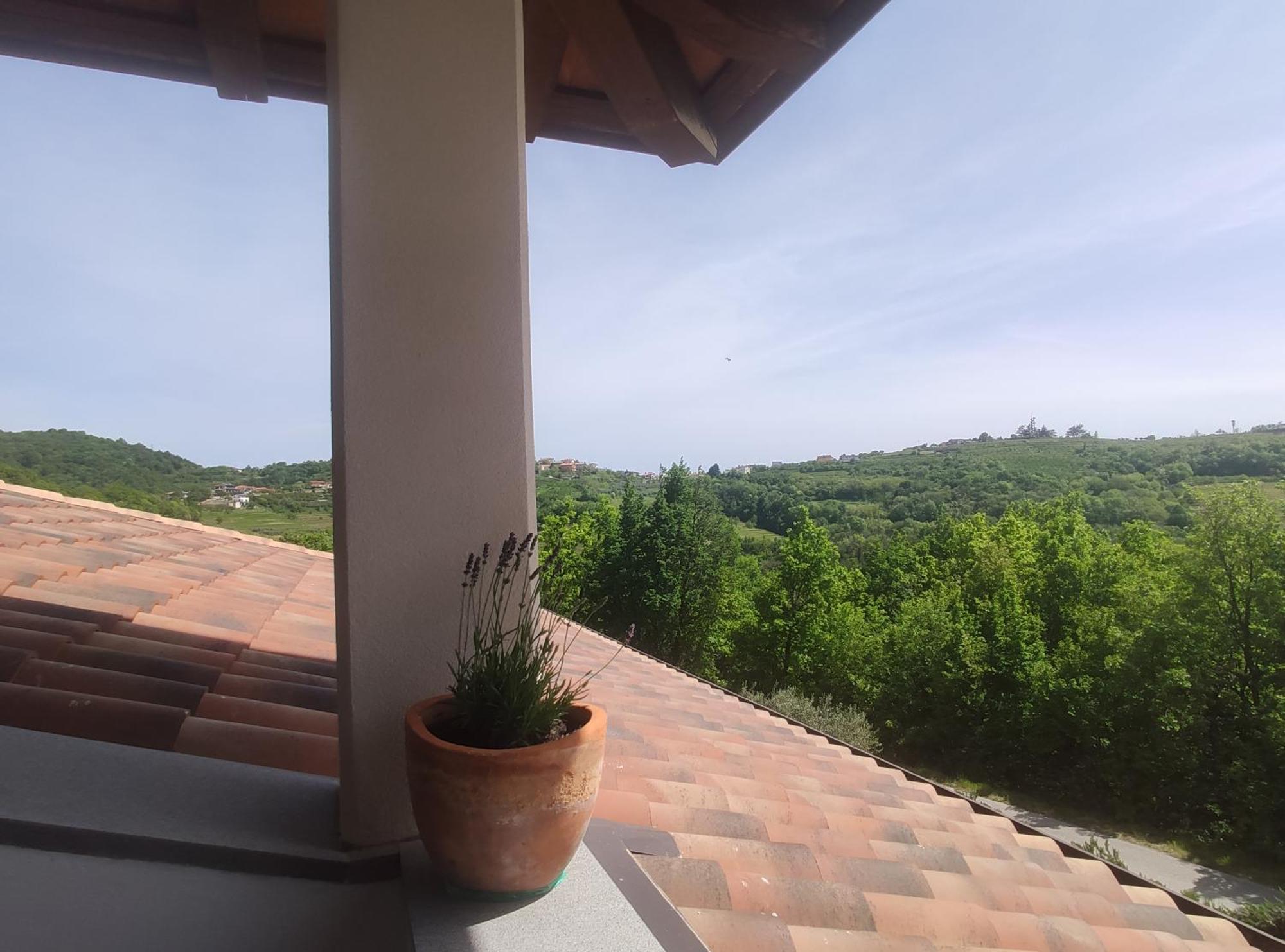 Apartma Lavanda Kojsko Εξωτερικό φωτογραφία