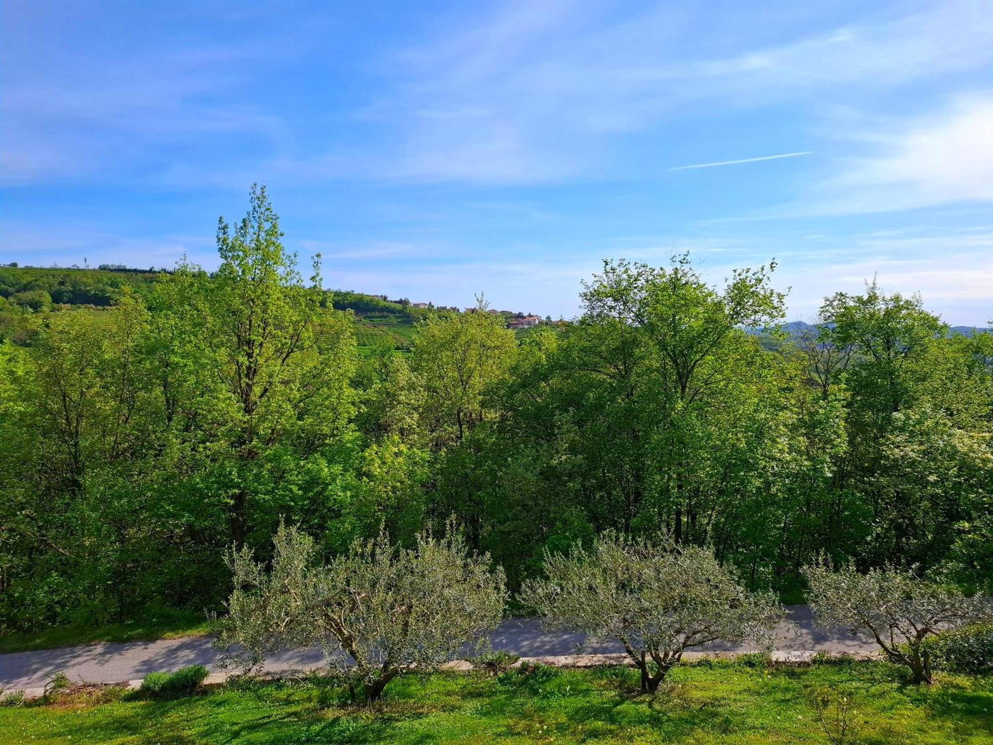 Apartma Lavanda Kojsko Εξωτερικό φωτογραφία
